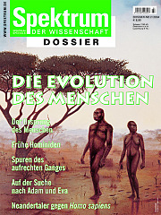 2000 Dossier 3